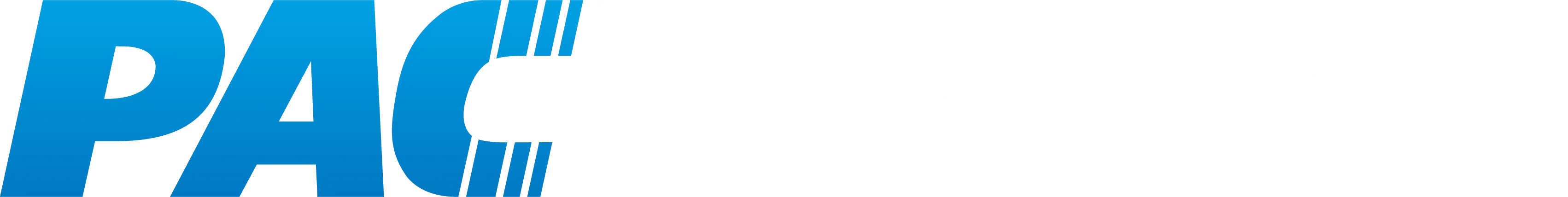Pacbrake